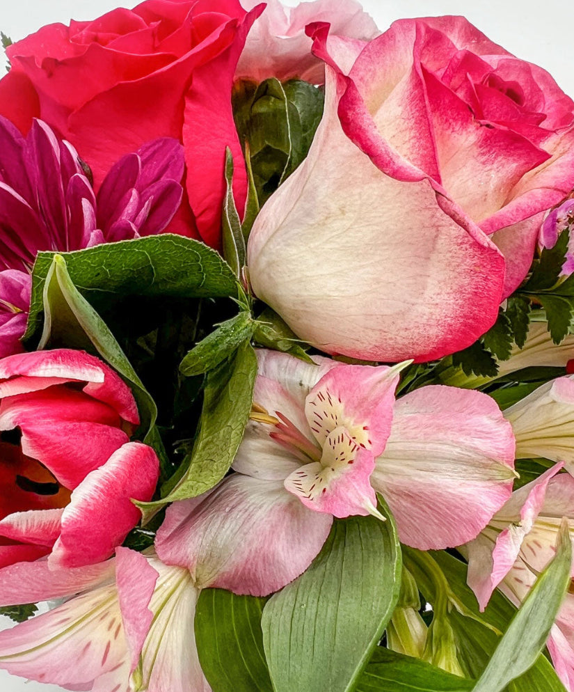 Sweet and Dainty - Printz Florist