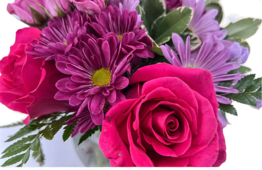 Sugar-Coated Sweetness - Printz Florist