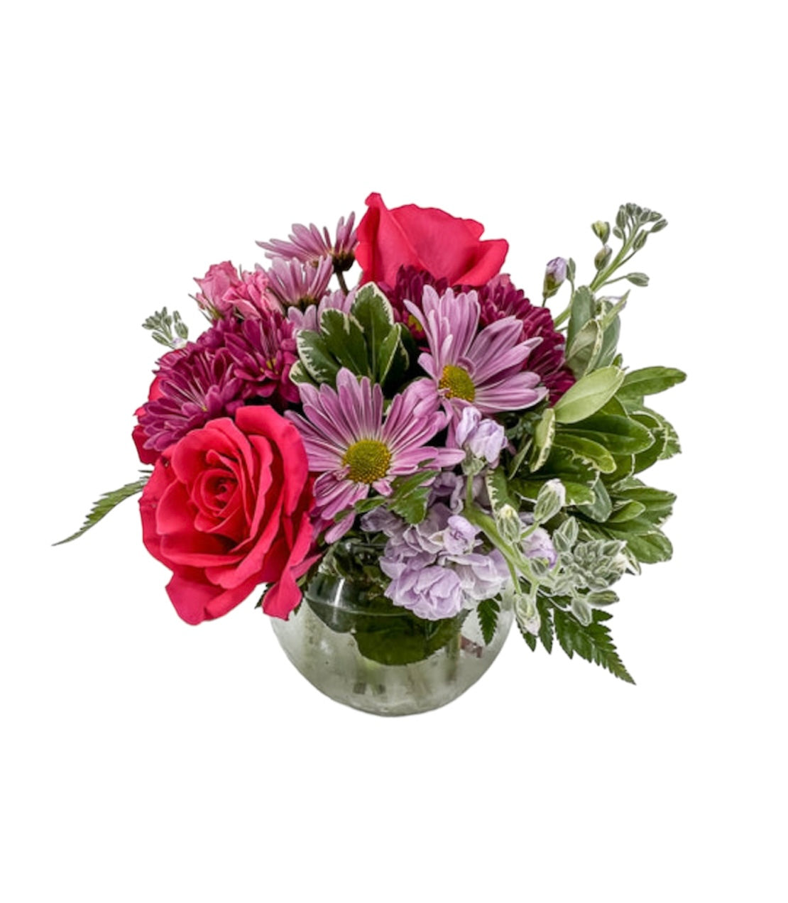 Sugar-Coated Sweetness - Printz Florist