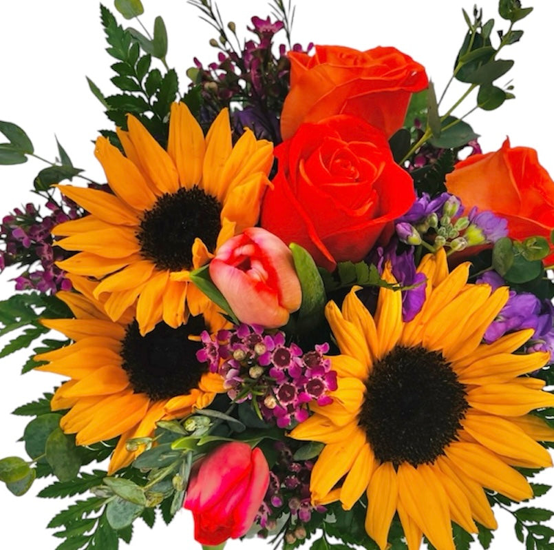 Ray of Sun - Printz Florist