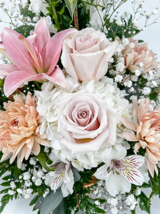 Gentle Comfort - Printz Florist