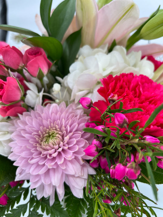 True Delight - Printz Florist