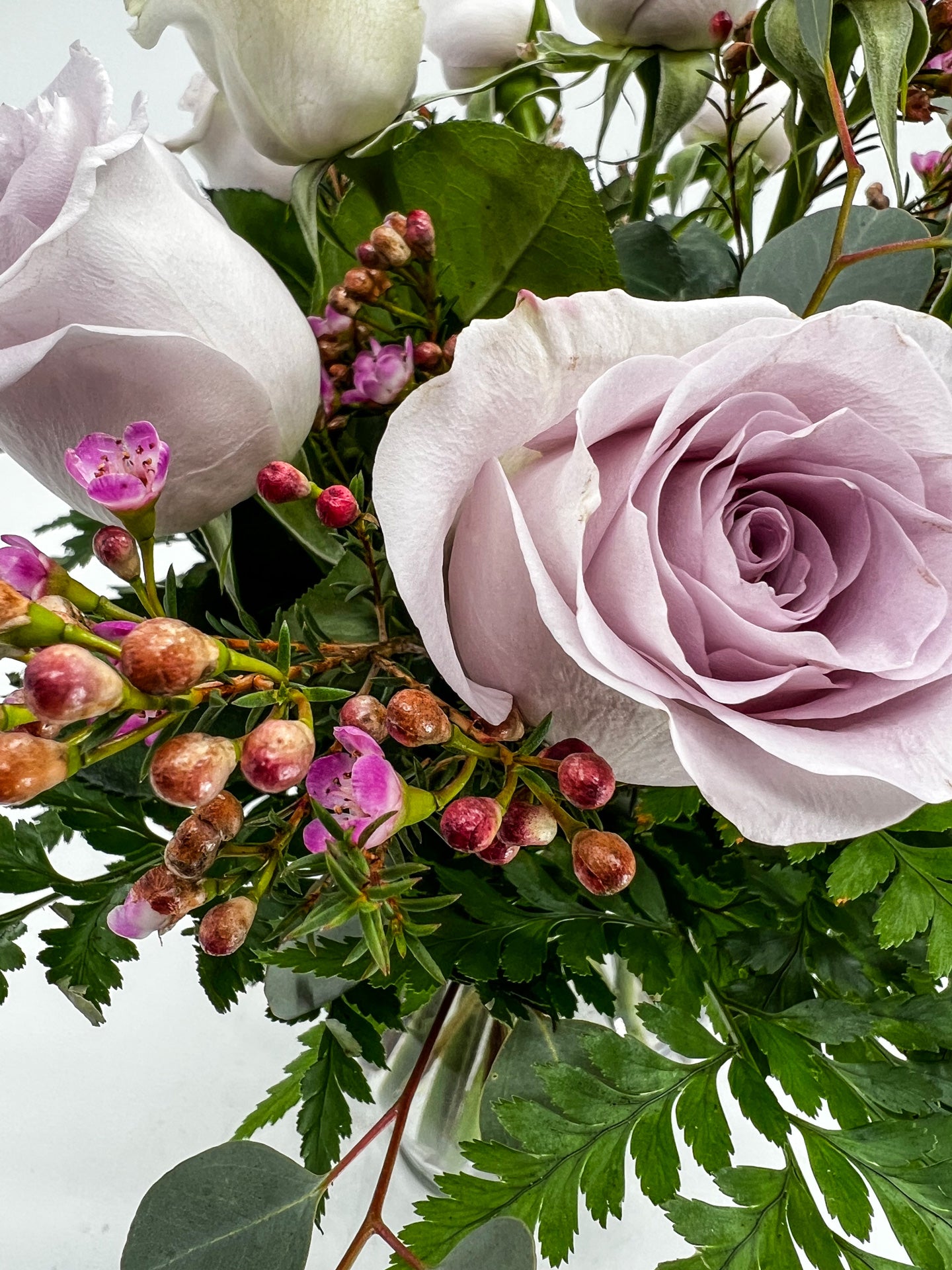 Lush Lavender Roses