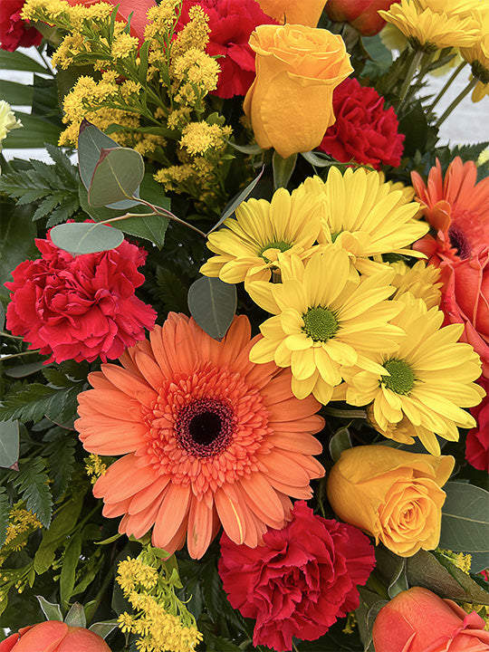 New Dawn - Printz Florist