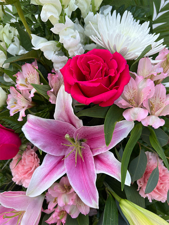 Soft Embrace - Printz Florist