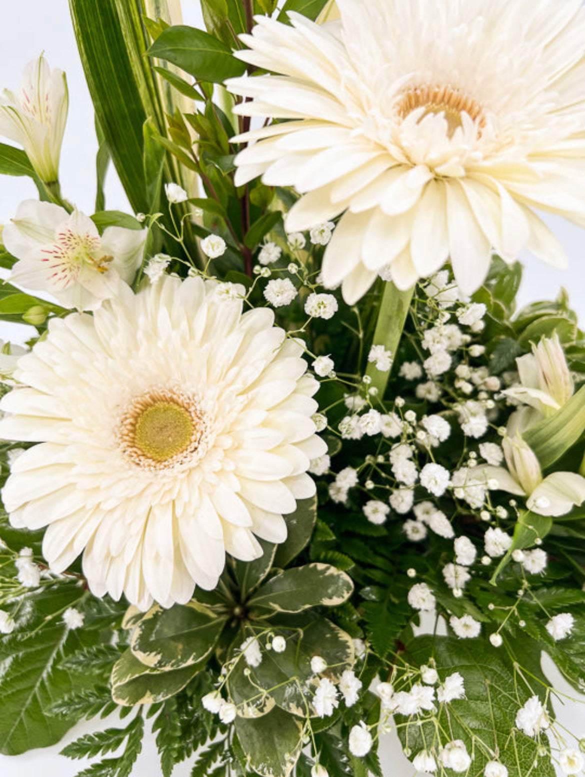 Pure and Kind - Printz Florist