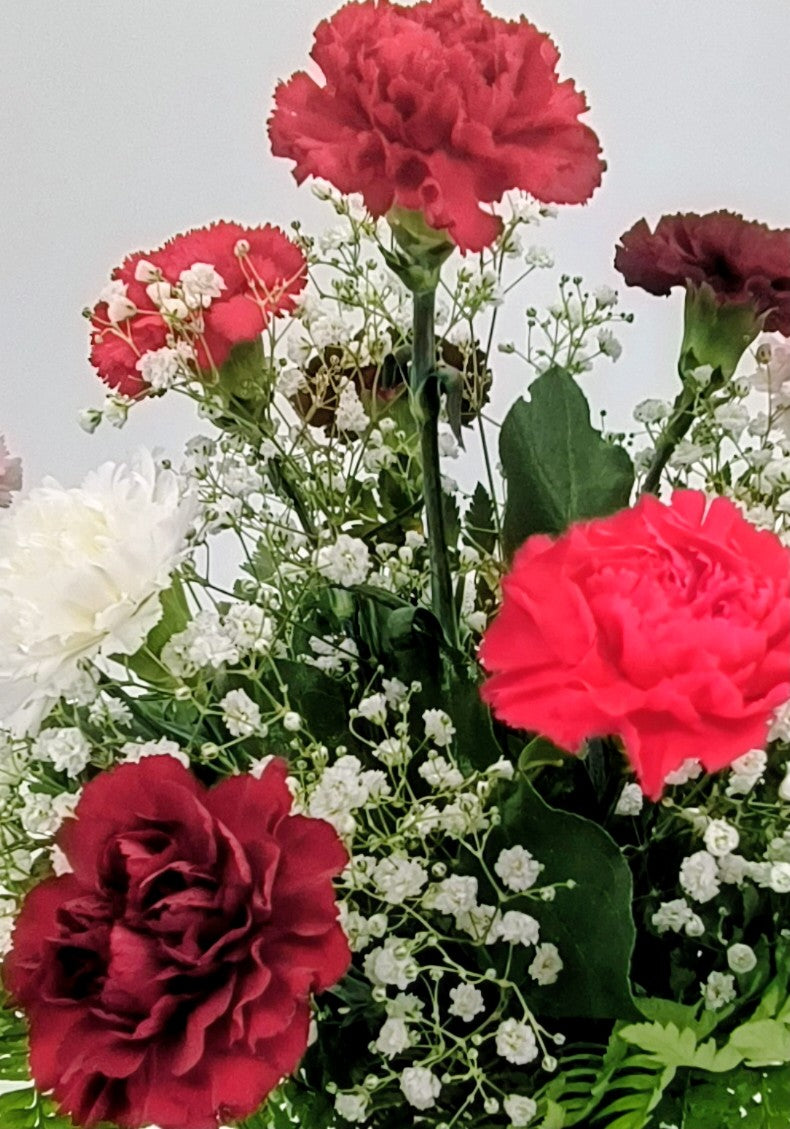 Carnation Arrangement