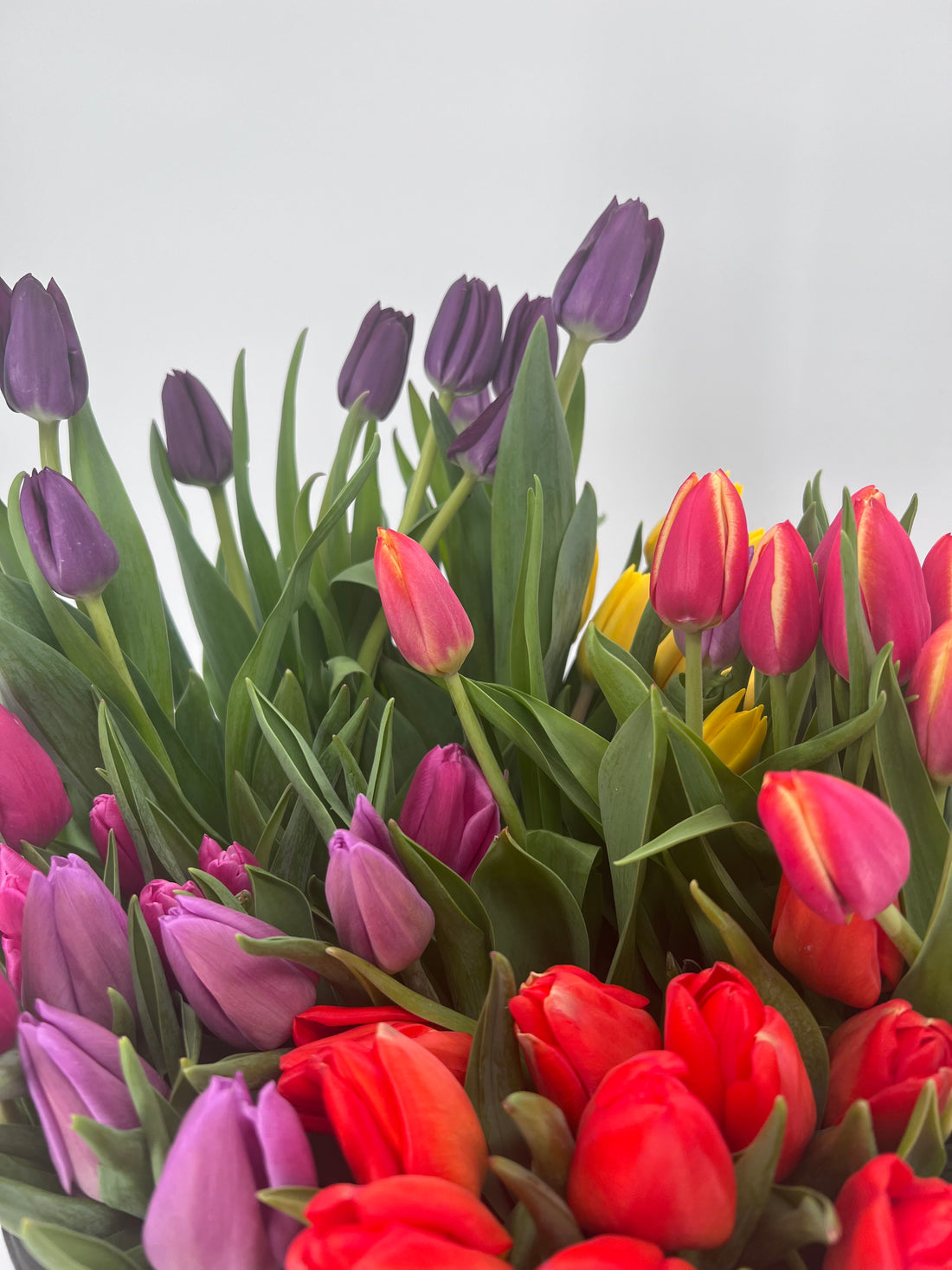 Spring – Printz Florist