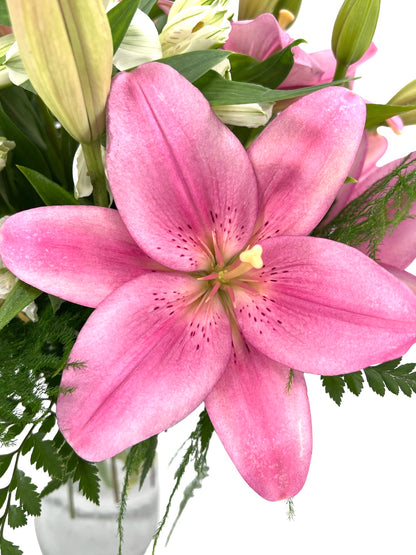 Luxe Lilies - Printz Florist