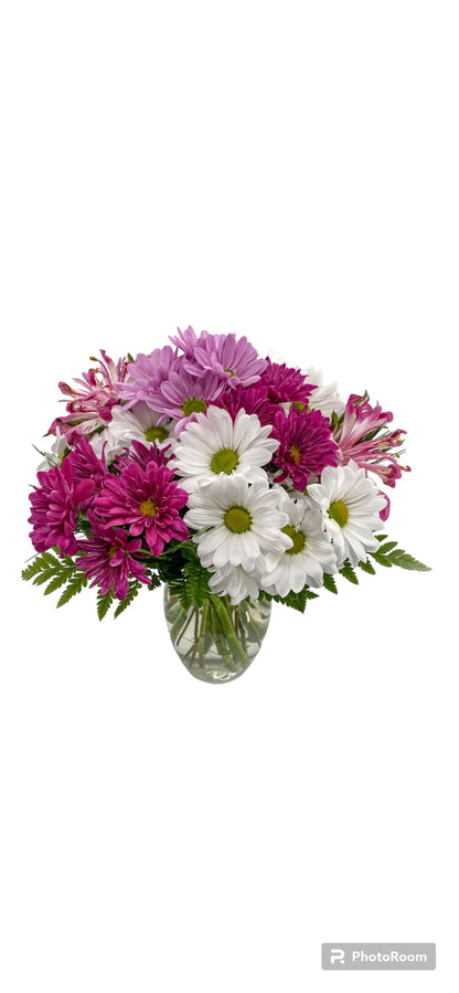 Dancing Daisies - Printz Florist