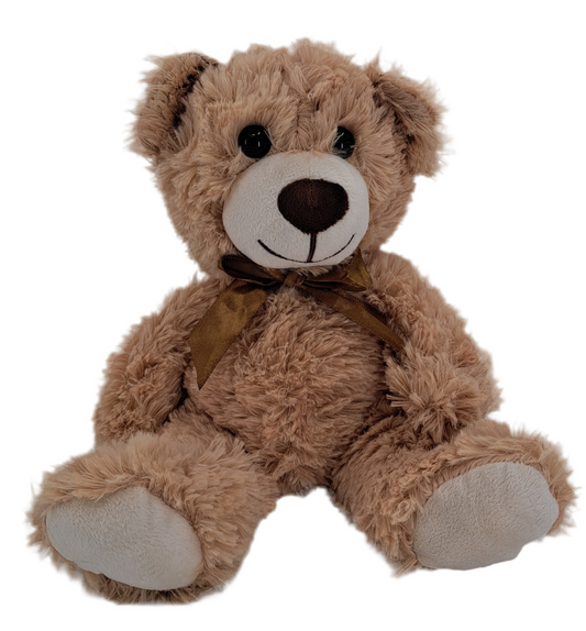 Plush Teddy Bear
