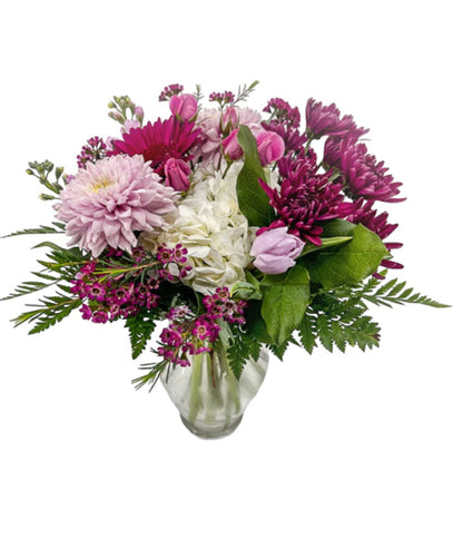 Royal Magenta - Printz Florist