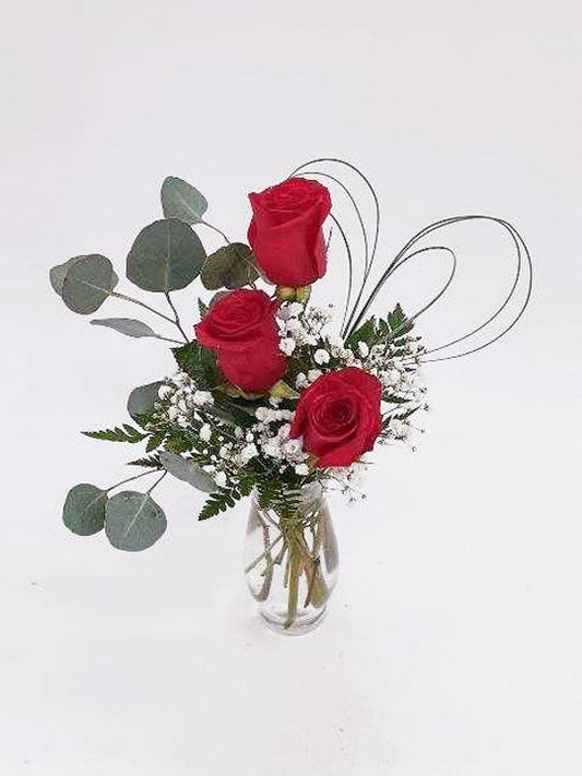 Red Rose Delight - Printz Florist