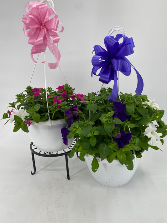 Petunia Hanging Basket