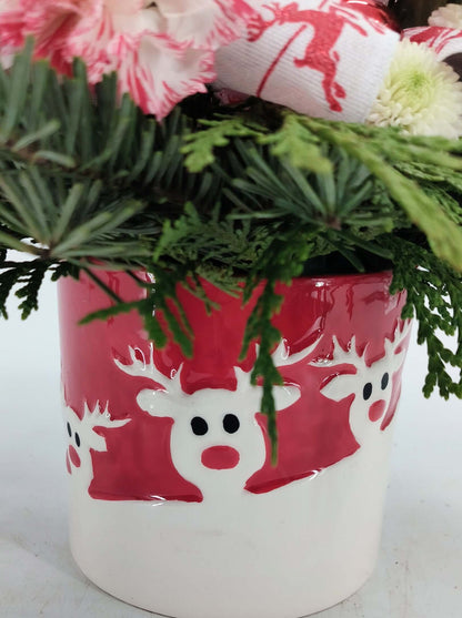 Reindeer Cheer festive ceramic container with red and white blooms and evergreens, perfect for holiday flower arrangements.