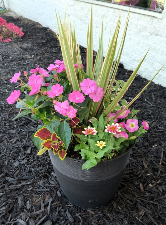 Summer Bloom Mixed Patio Planter
