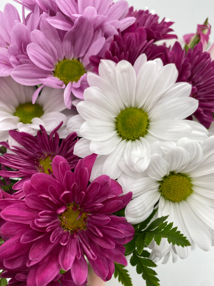 Printz Florist Your Canton Flower Shop Local Delivery