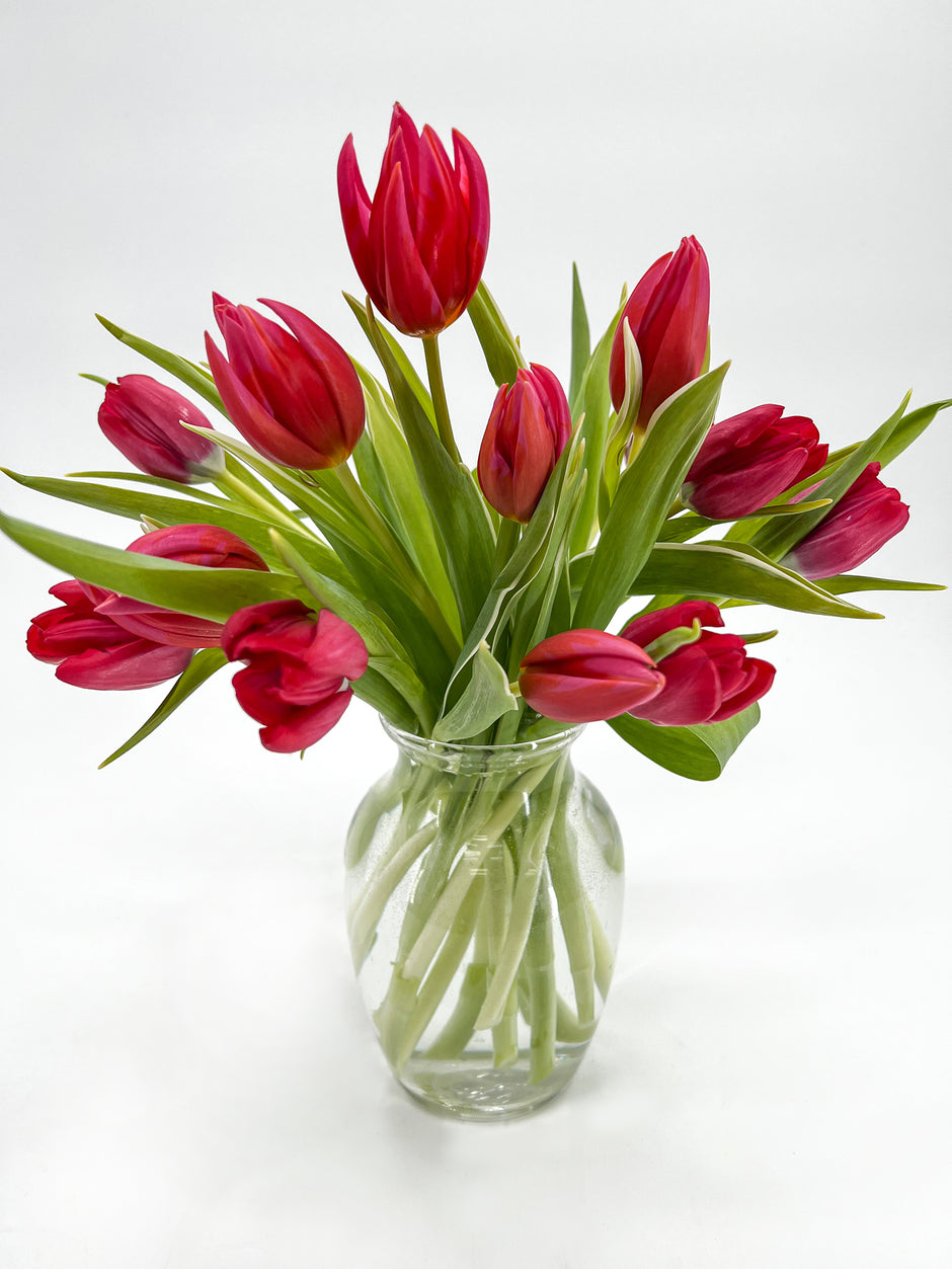 Printz Florist Your Canton Flower Shop Local Delivery