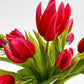 Seasonal Tulips